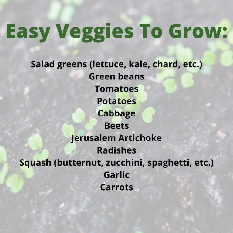 Easiest Veggies To Grow In Your Backyard Self Reliant Farms